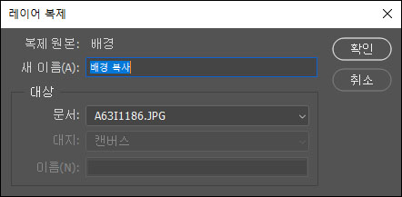 레이어 복제 대화 상자