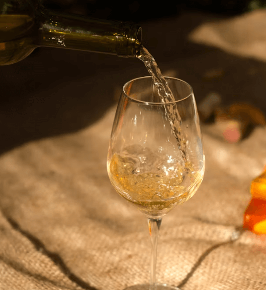 와인 종류별 건강 효과 비교: 레드 vs 화이트 vs 스파클링