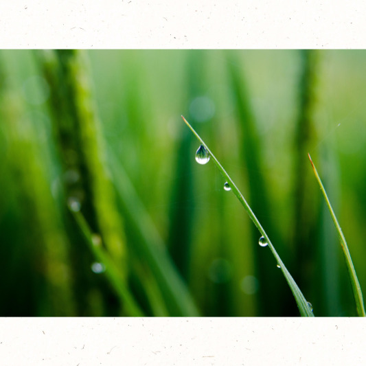 농사 준비와 배수 점검