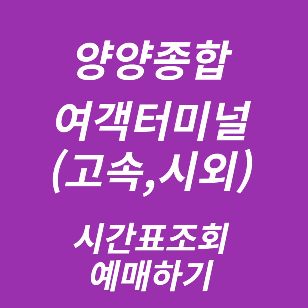 양양종합여객터미널 시간표조회, 예매