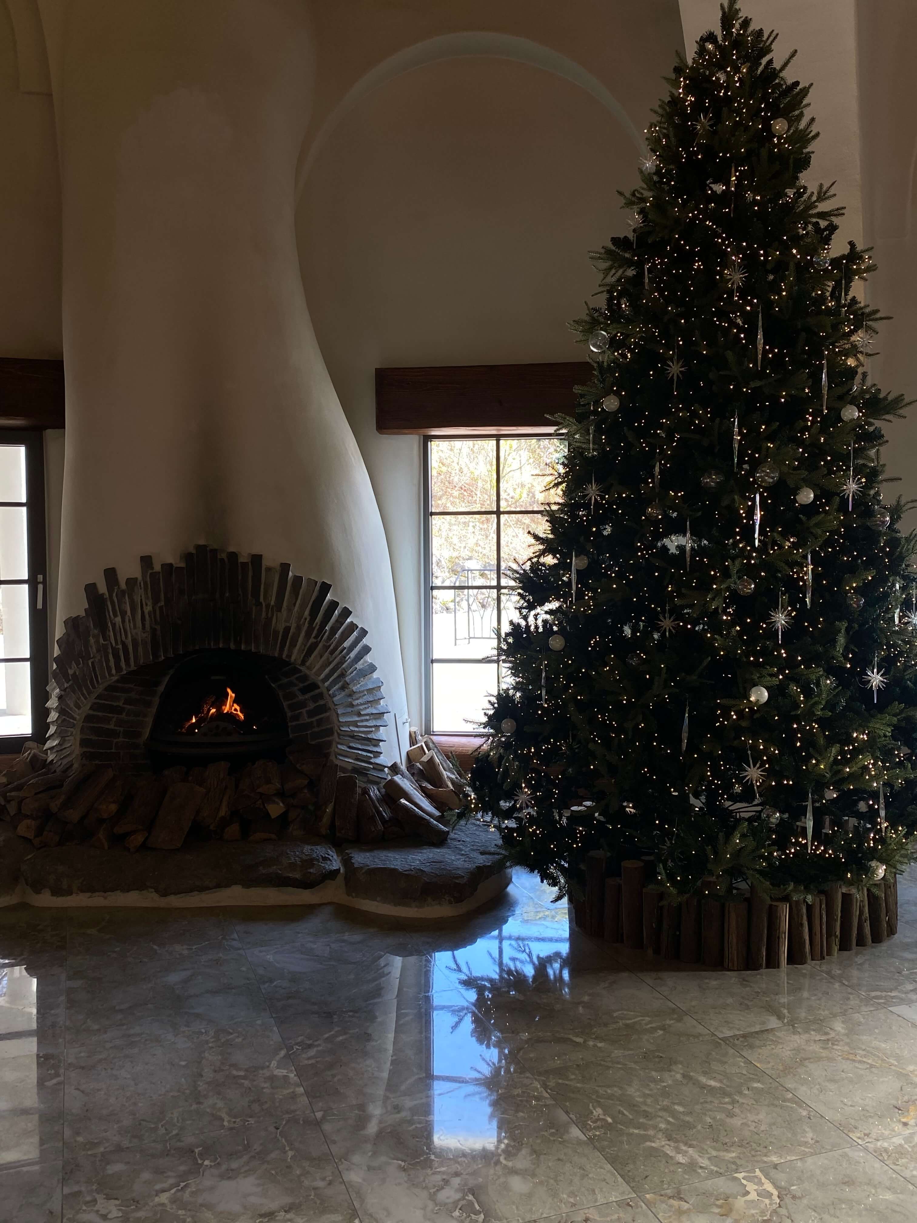 에코랜드호텔 후기 제주 수영장 호텔 추천 아고다 가성비