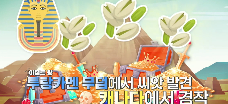 카무트효소