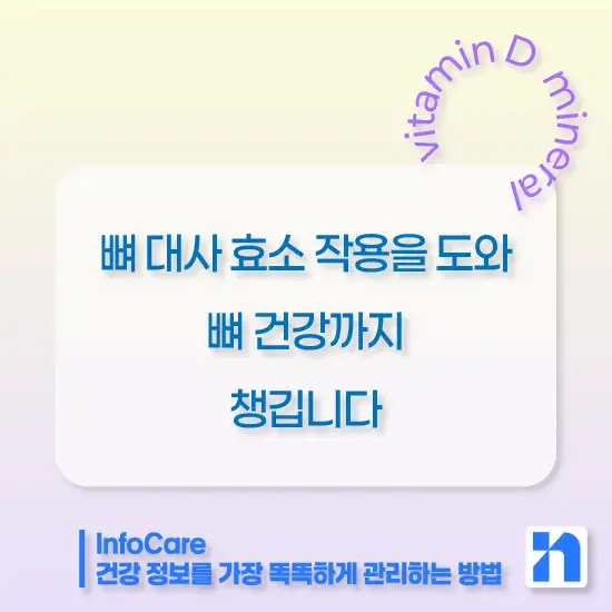 비타민D 칼슘 마그네슘 아연 함께 복용