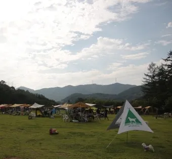 서울 마포 반려동물 캠핑장 도심 속 힐링 명소 가이드_17