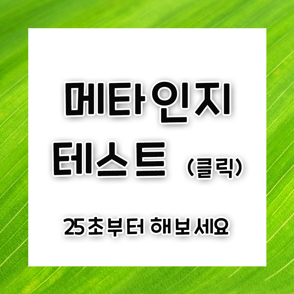 메타인지 테스트