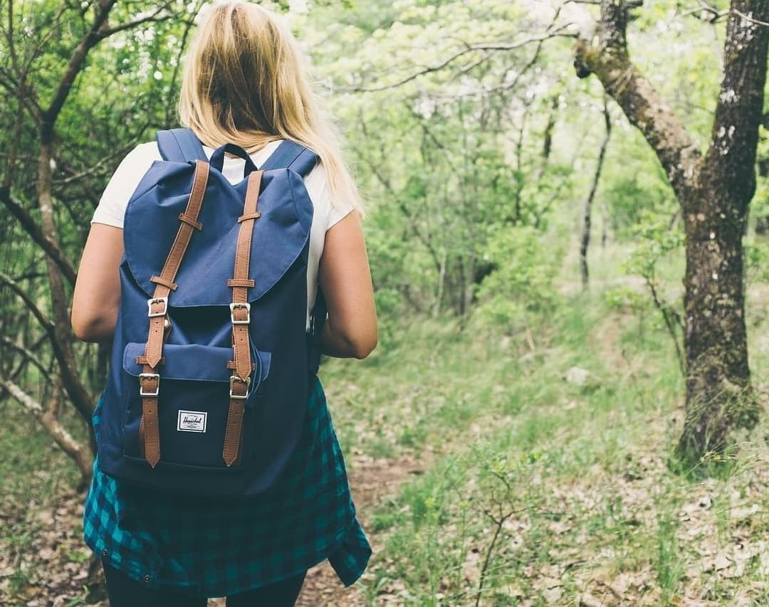 🧢 등산 초보자를 위한 준비물 & 복장 완벽 가이드 – 봄철 산행 꿀팁