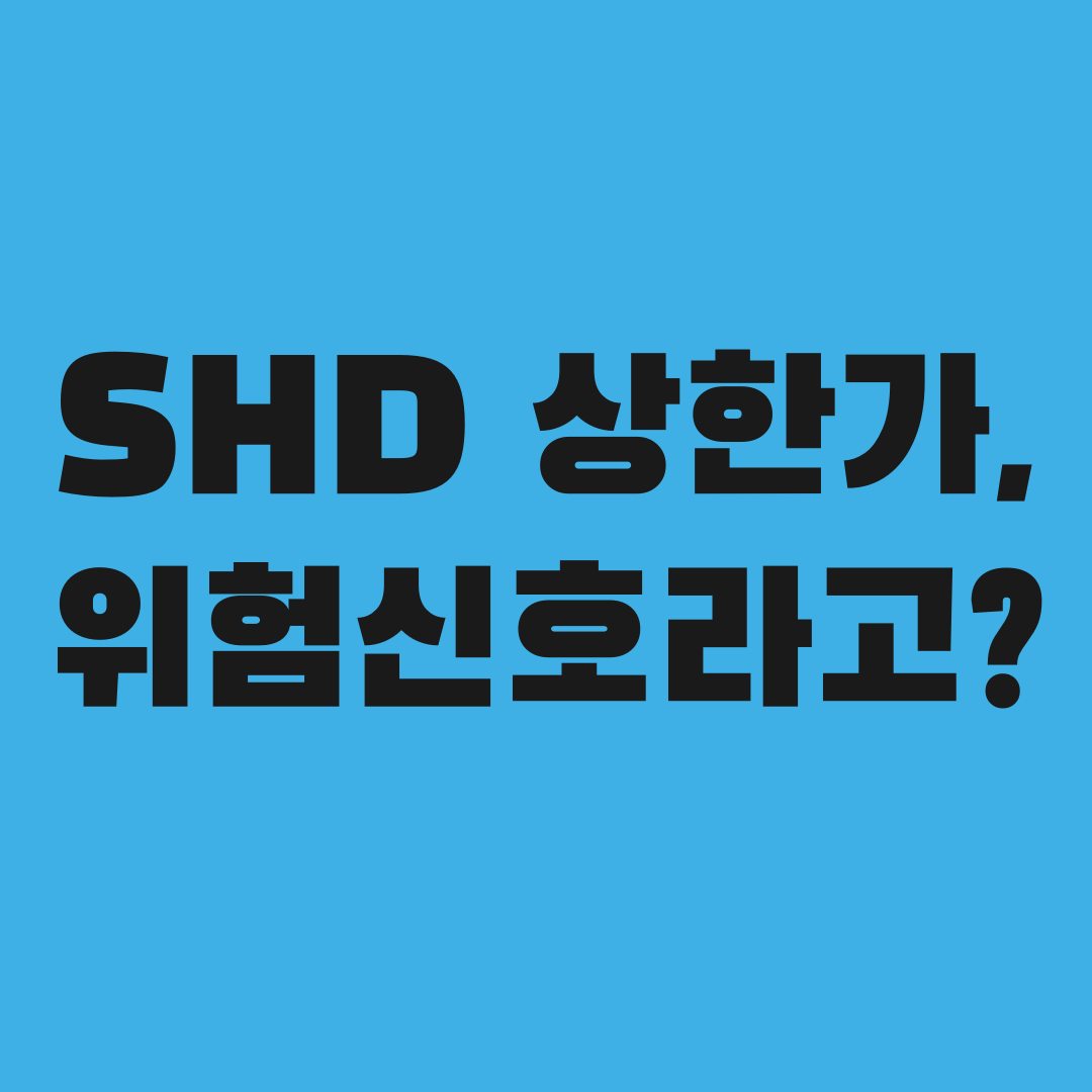 SHD 자사주 20억 매입, 알고 보니 위험 신호였다