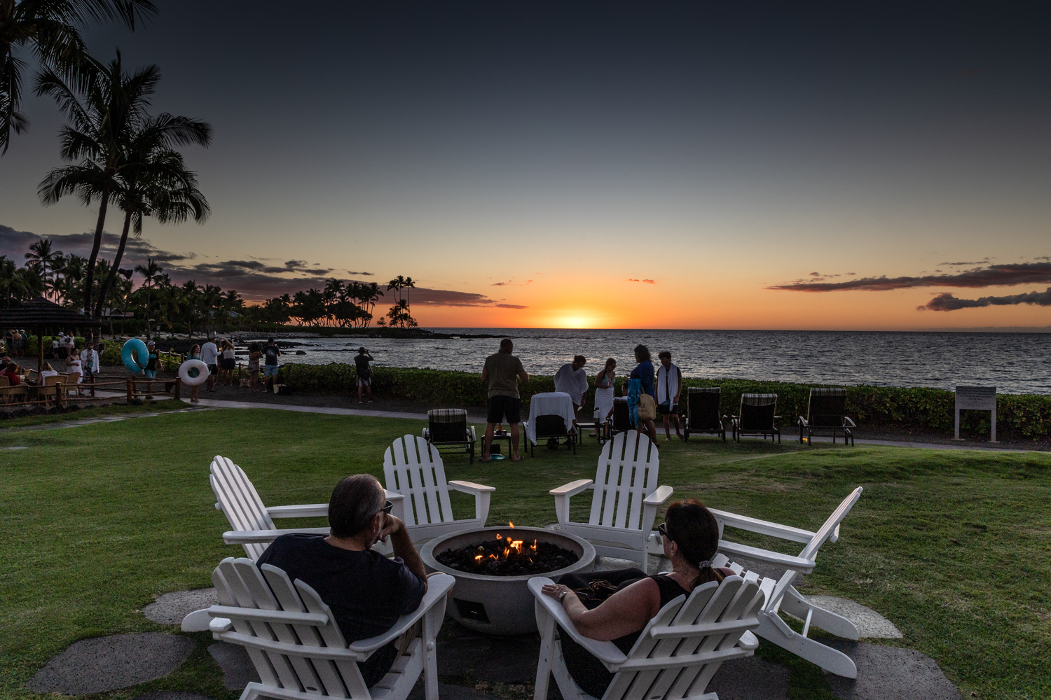 빅아일랜드 페어몬트오키드 불멍자리