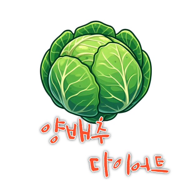 양배추 다이어트