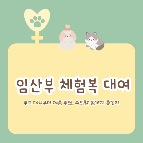 임산부 체험복 대여 &ndash; 원리부터 가격까지 총정리