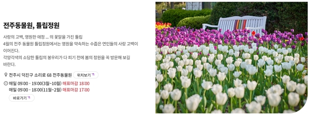 벚꽃