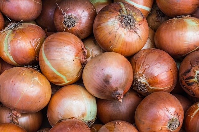 농업경영체 등록방법
