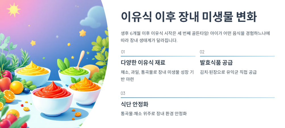 이유식 이후 장내 미생물 변화