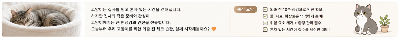 집냥이 혼자 집에 있을 때 외출 전 꼭 확인해야 할 안전관리 방법 등 주의사항 체크