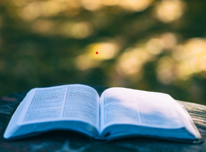 디지털 미니멀리즘 라이프스타일 &ndash; 적게 소비하고 더 행복해지는 법