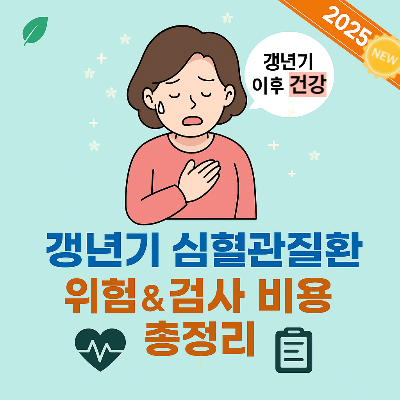 갱년기 심혈관질환 위험 & 검사 비용 총정리 (2025년 최신 가이드)