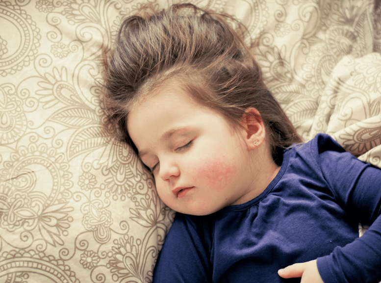 수면을 취하는 모습