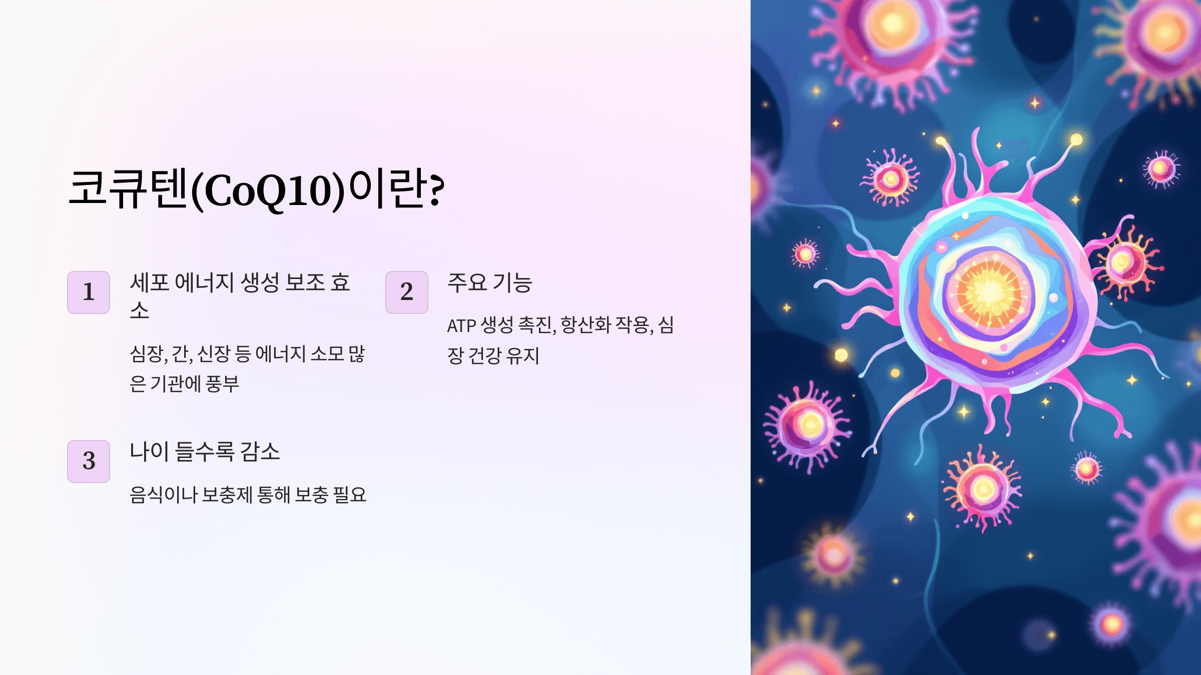 코큐텐과 관련된 사진입니다.