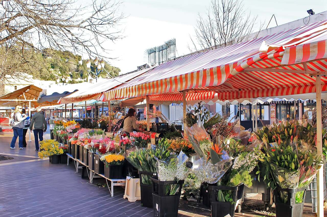 꾸르 샬레야 꽃시장