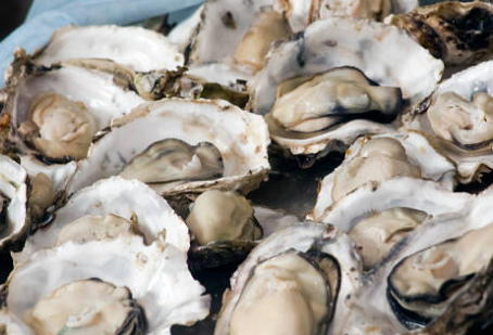 굴제철
