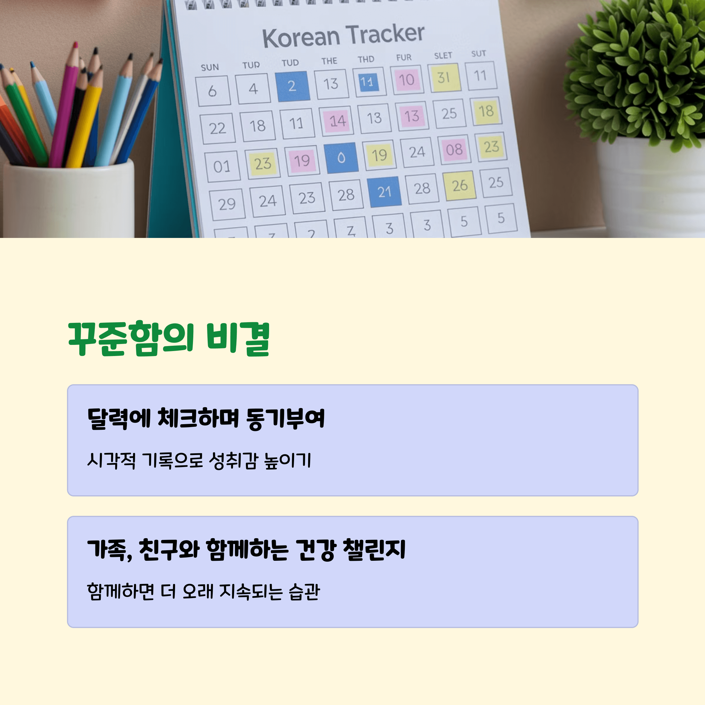 50대 건강 루틴