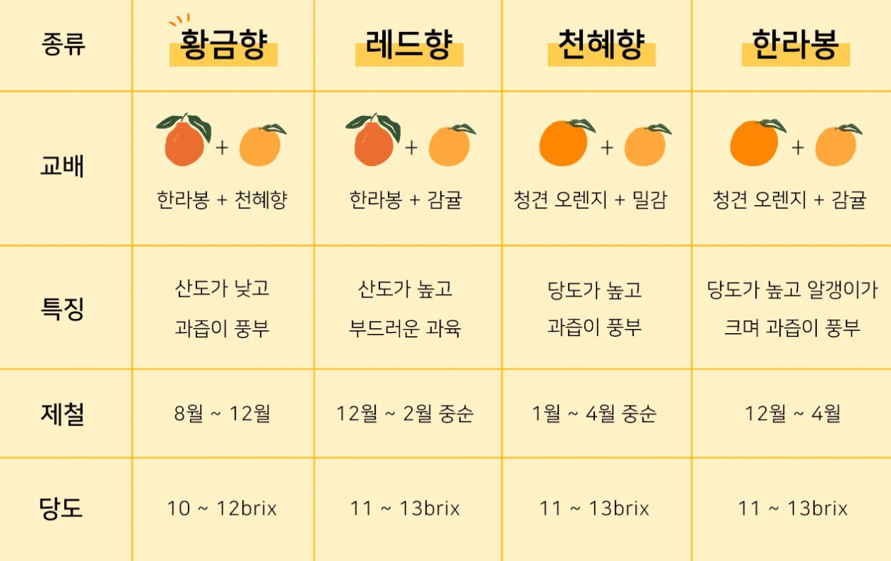 [한눈에 쏙!] 한라봉&#44; 천혜향&#44; 레드향 등 만감류의 차이점