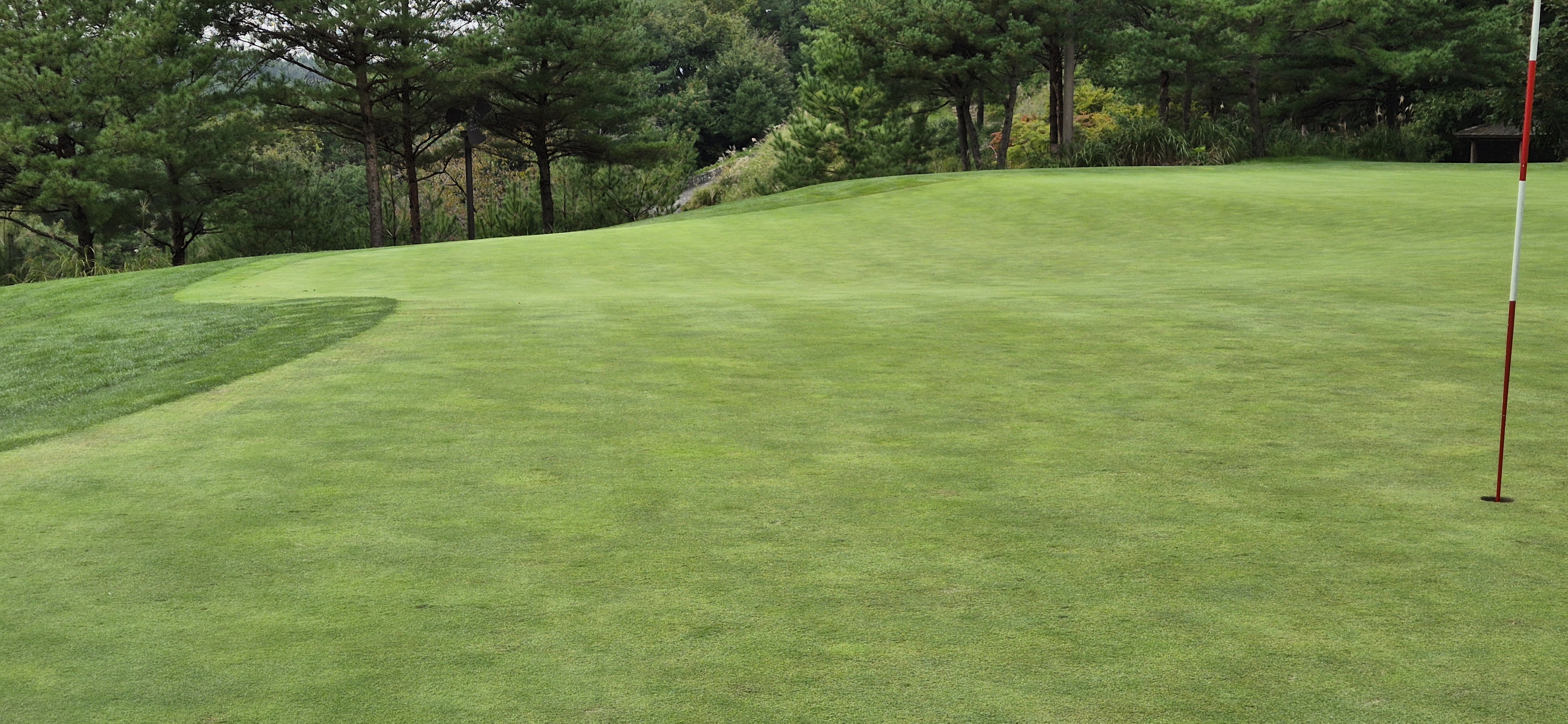 소노팰리체cc이스트