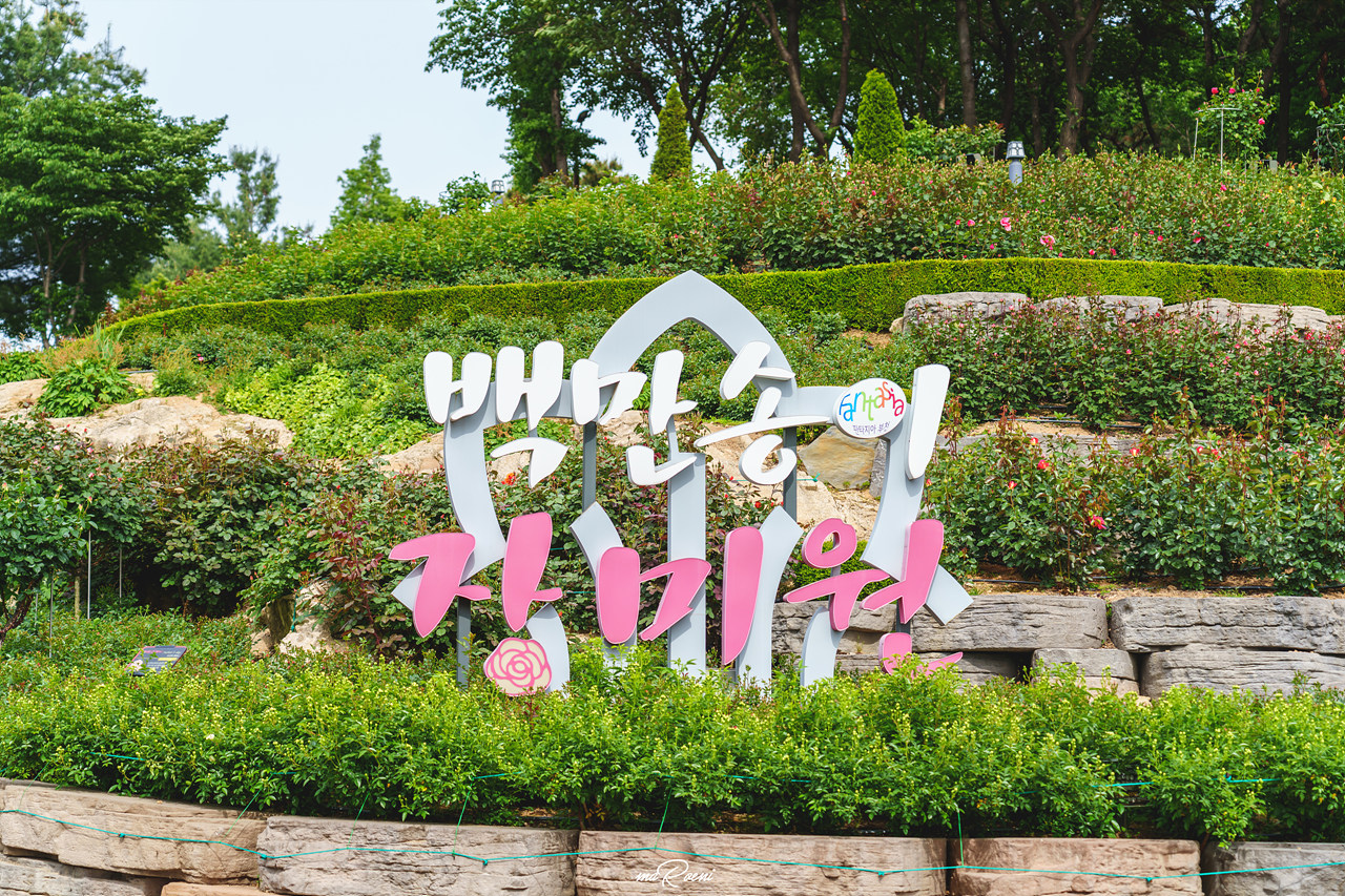 백만송이장미원