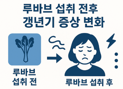 루바브 섭취 전후 갱년기 증상 변화 (4주, 8주, 12주간의 경과 추척) 사진