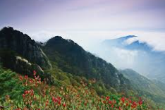 계룡산 국립공원 실시간 cctv