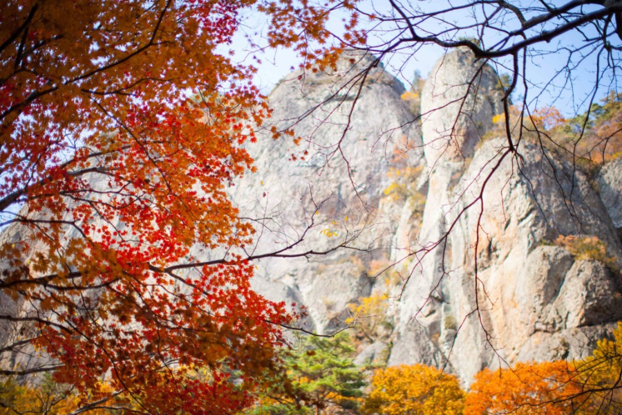 설악산 단풍 절경