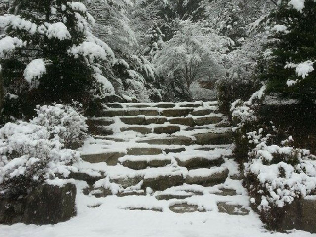 산음자연휴양림 풍경 설경