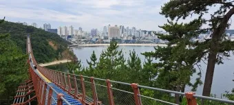 울산 가볼만한곳 베스트 10 여행 명소_22