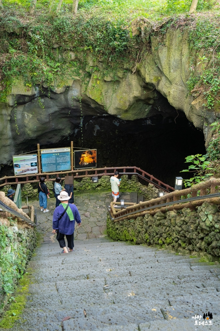 제주 만장굴 내부