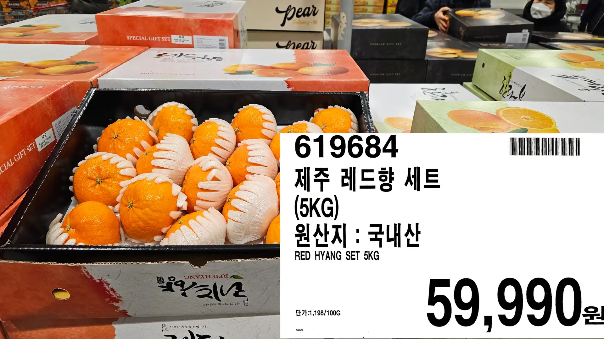 제주 레드향 세트
(5KG)
원산지 :국내산