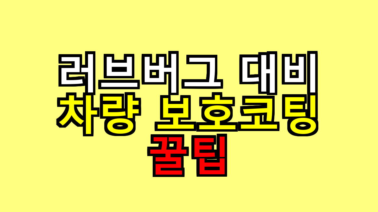 러브버그 대비 차량 보호코팅 꿀팁