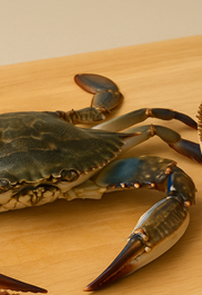 간장게장 황금레시피