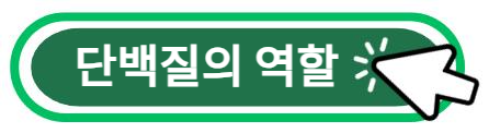 단백질 역할 알아보기