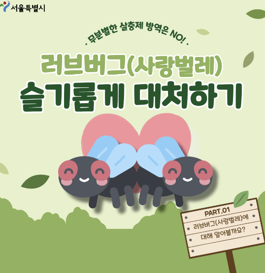 러브버그 방역방법 관련사진1
