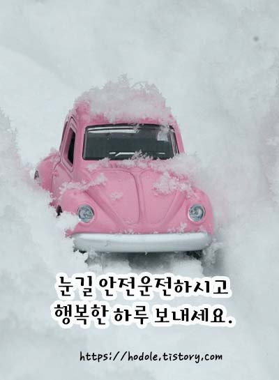 안전운전하세yp
