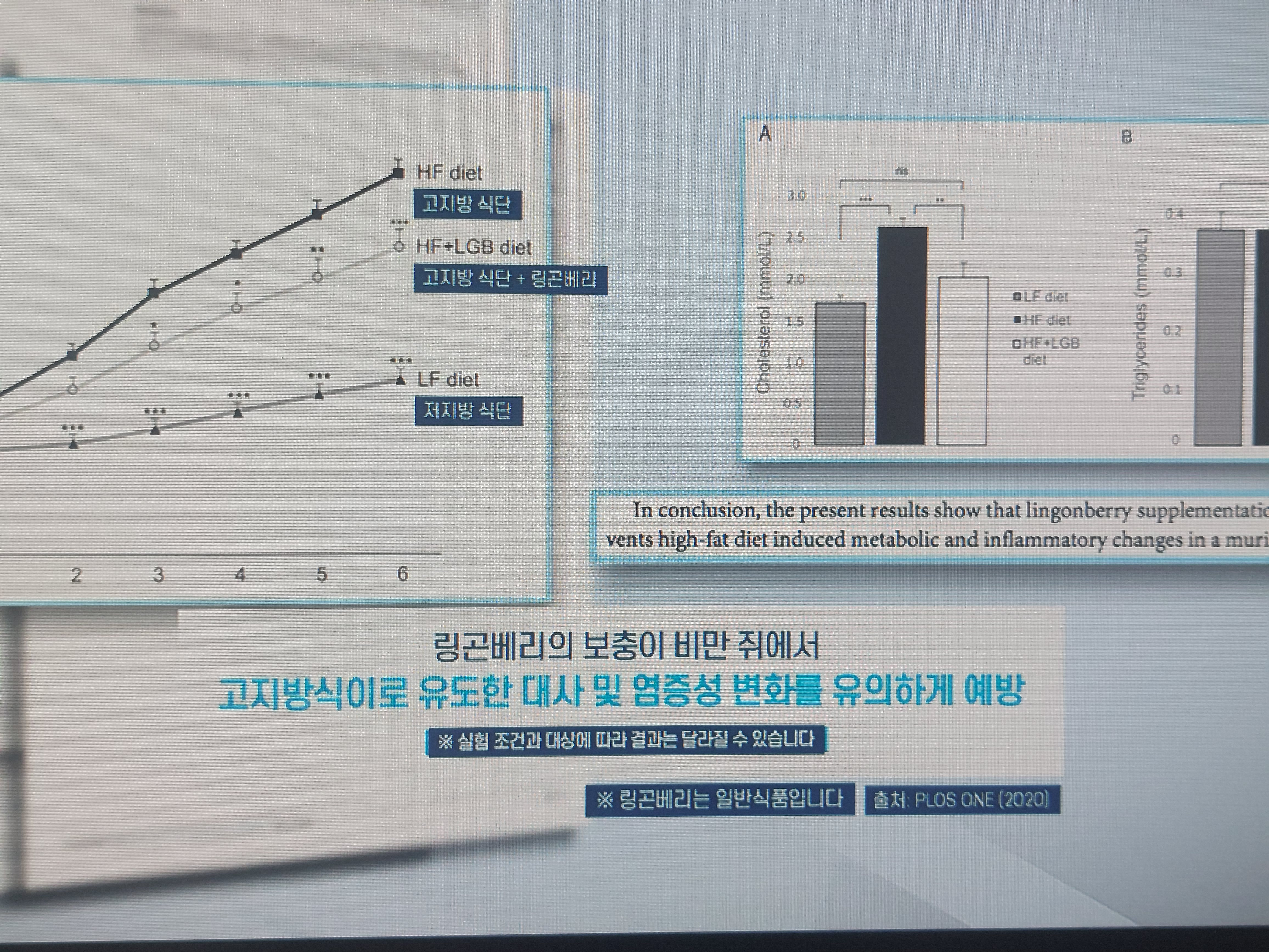 링곤베리 효능
