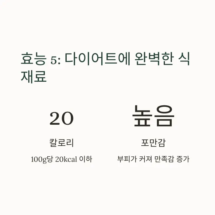 건궁채 효능 및 요리법