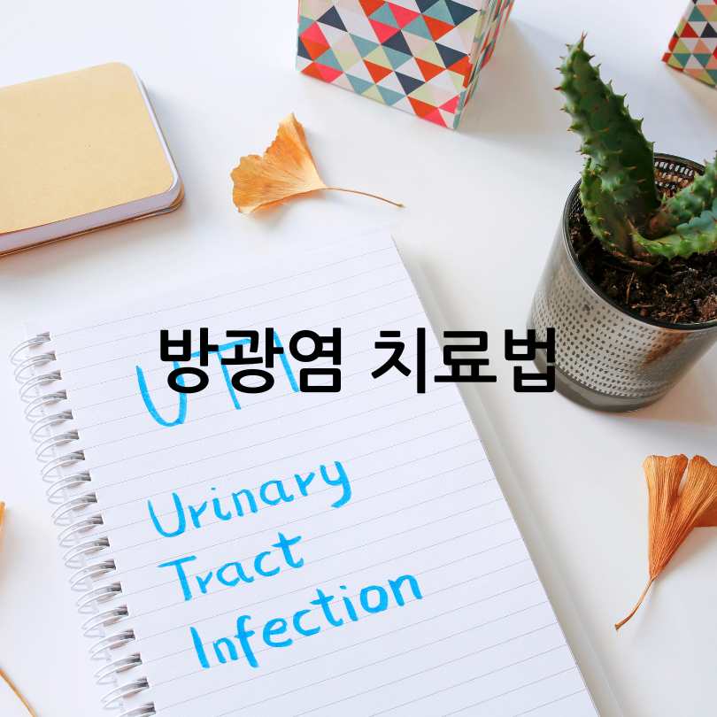 남성 방광염 원인과 증상, 자가치료법