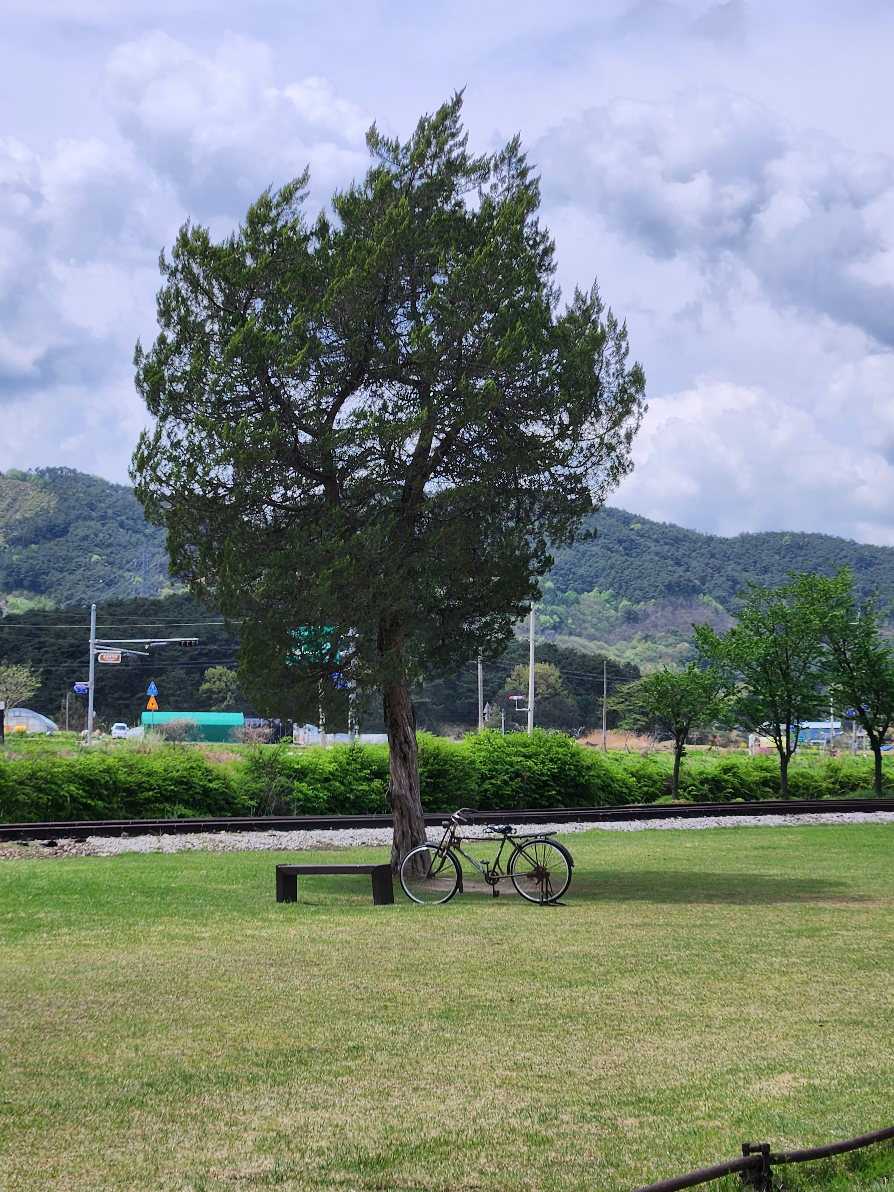 자전거와 초록나무서도역