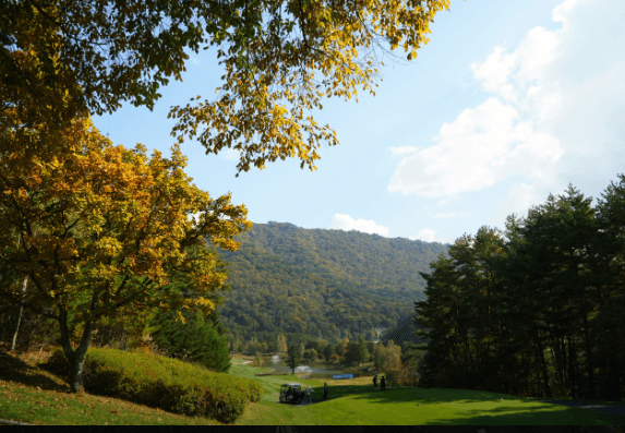 2025 KLPGA 맥콜 &middot; 모나 용평 오픈 총정리｜무료 티켓&middot;주차장&middot;조편성&middot;관전포인트까지