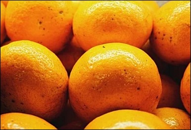 구연산 부작용 16