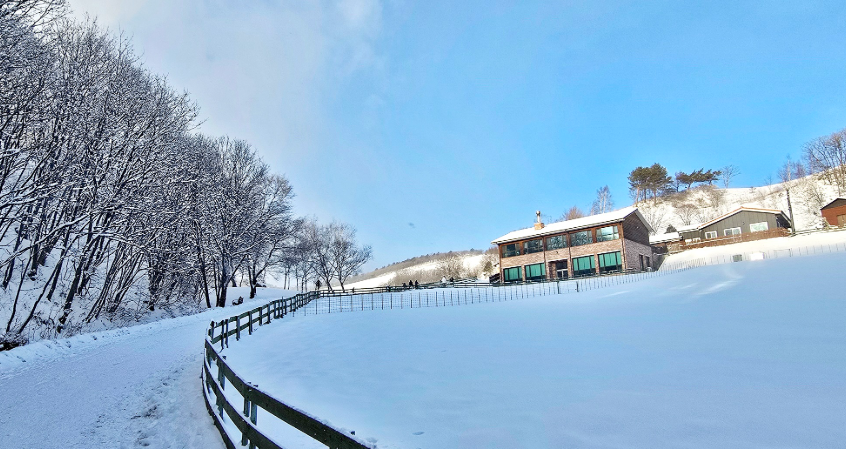 평창의 대관령 양떼목장