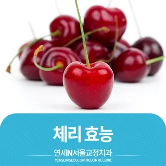nv_체리 효능_6