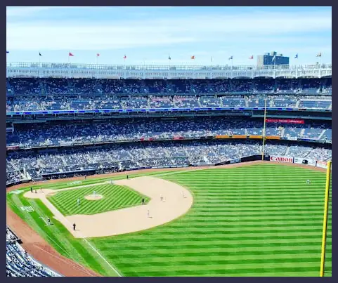 야구 한일전 생중계 방송