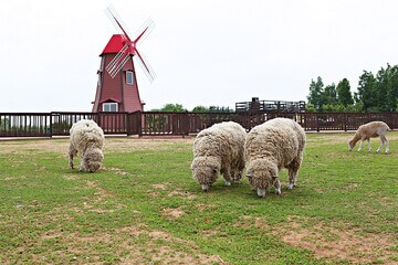 가정의 달 5월&amp;#44; 가족과 함께 떠나기 좋은 국내 여행지 추천 7곳